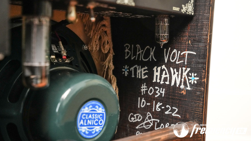Black Volt Amplification the Hawk #034