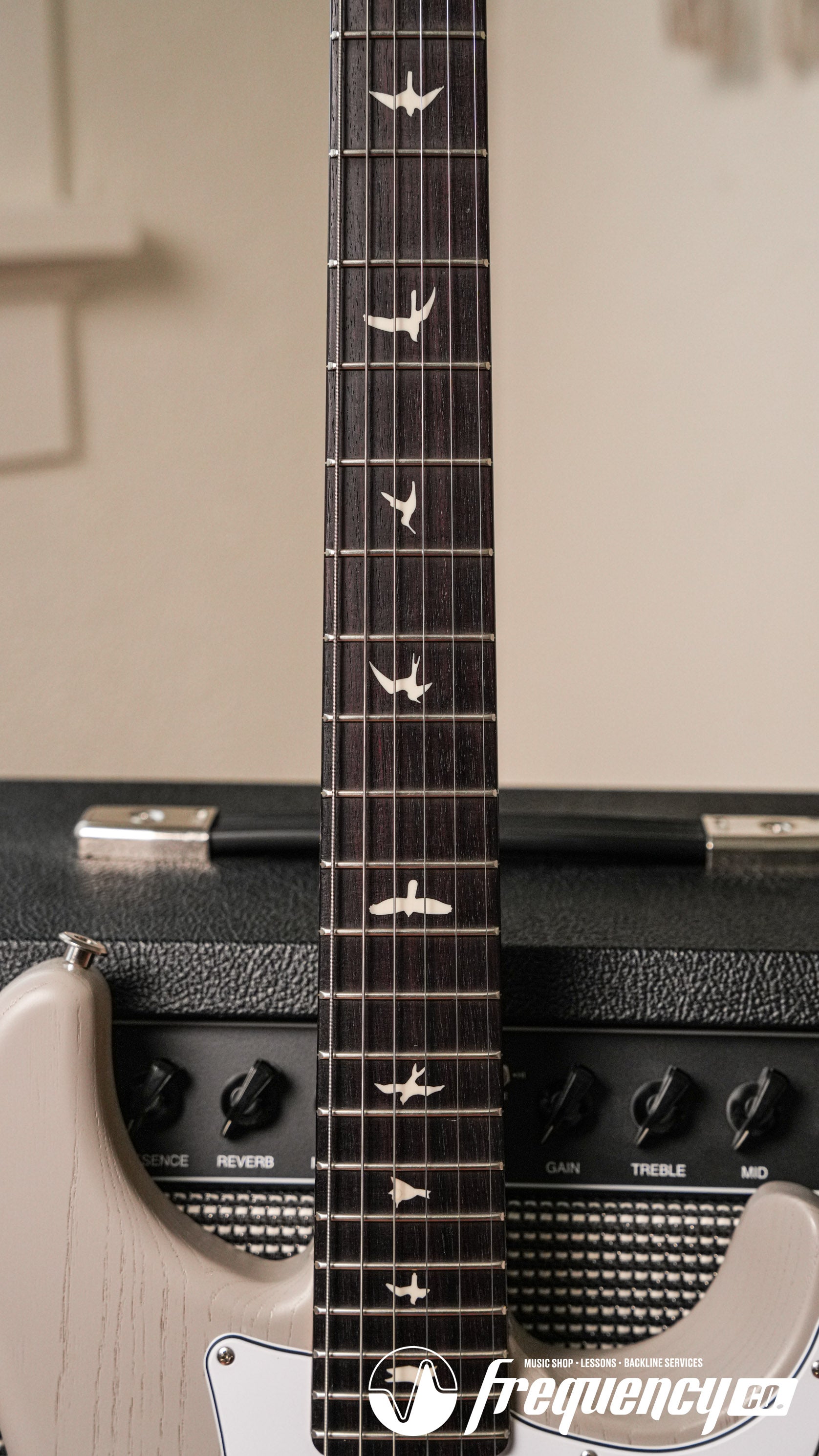 PRS Dead Spec Silver Sky Limited Edition 1 of 1000 - 2023