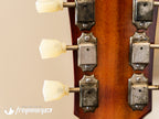 Echopark Ghetto Bird Custom Chambered Mahogany Body with a Brazilian Rosewood Fretboard and Rosewood Top - 2013
