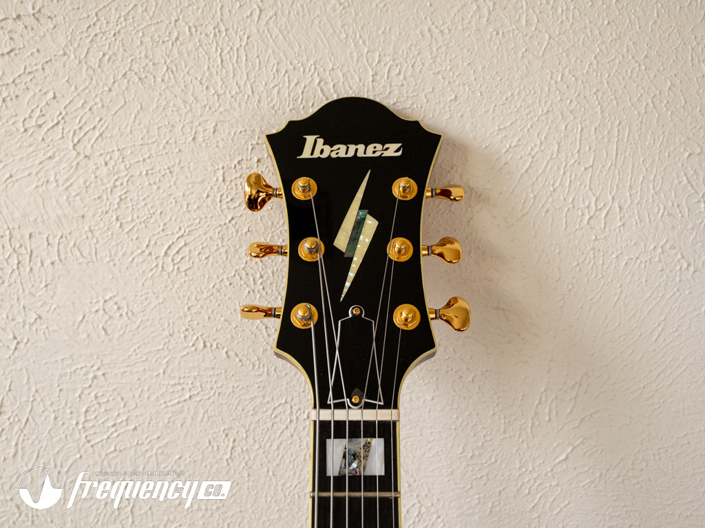Ibanez PM-200 Pat Metheny Signature Hollow-Body in a Natural Finish - 2015