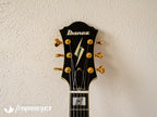 Ibanez PM-200 Pat Metheny Signature Hollow-Body in a Natural Finish - 2015
