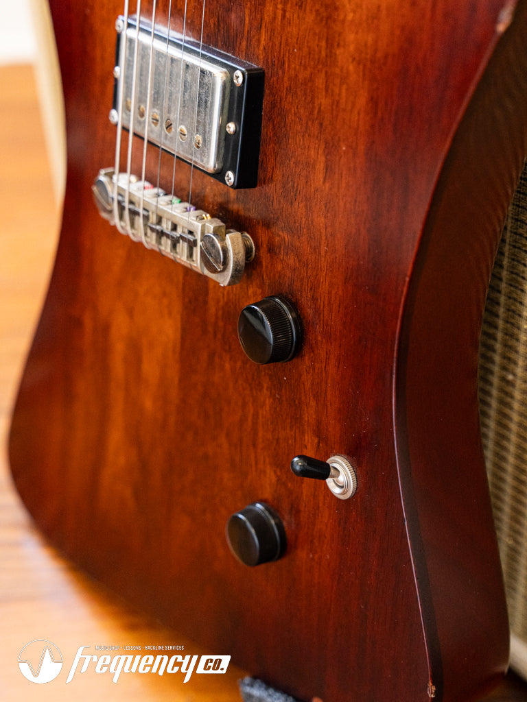 Echopark Ghetto Bird Custom Chambered Mahogany Body with a Brazilian Rosewood Fretboard and Rosewood Top - 2013