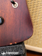 Echopark Ghetto Bird Custom Chambered Mahogany Body with a Brazilian Rosewood Fretboard and Rosewood Top - 2013