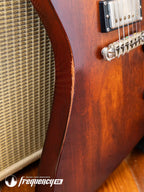 Echopark Ghetto Bird Custom Chambered Mahogany Body with a Brazilian Rosewood Fretboard and Rosewood Top - 2013