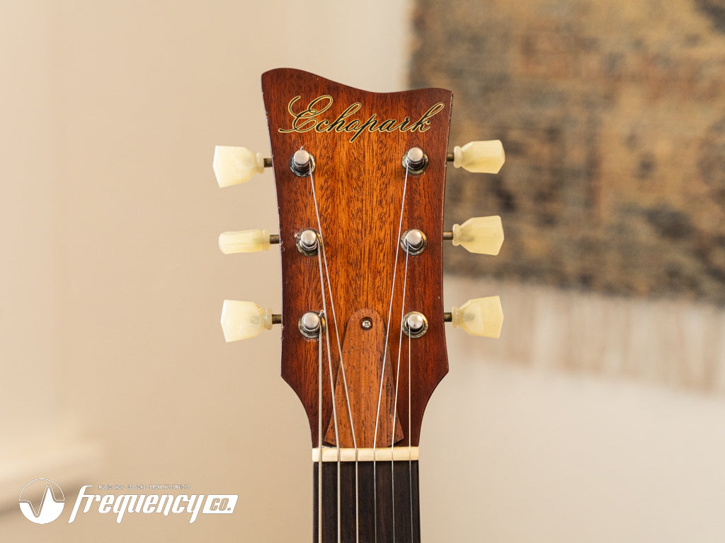 Echopark Ghetto Bird Custom Chambered Mahogany Body with a Brazilian Rosewood Fretboard and Rosewood Top - 2013