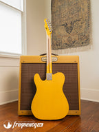Nashguitars T52 with Bigsby Tremolo in Butterscotch Blonde - 2019