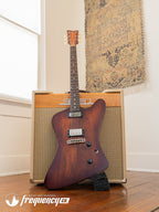 Echopark Ghetto Bird Custom Chambered Mahogany Body with a Brazilian Rosewood Fretboard and Rosewood Top - 2013