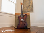 Echopark Ghetto Bird Custom Chambered Mahogany Body with a Brazilian Rosewood Fretboard and Rosewood Top - 2013