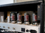 Dr.Z Remedy 40 Watt Head - 2010