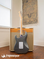 Eric Clapton Stratocaster with a Pewter Finish - 1999