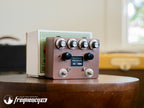 Browne Amplification Protein V4 Copper