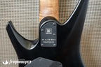 Earnie Ball Music Man Kaizen 7 with Roasted Flamed Maple Neck - 2023