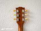 Gibson Les Paul Standard "Double Trouble" Underwood Custom Relic - 2025
