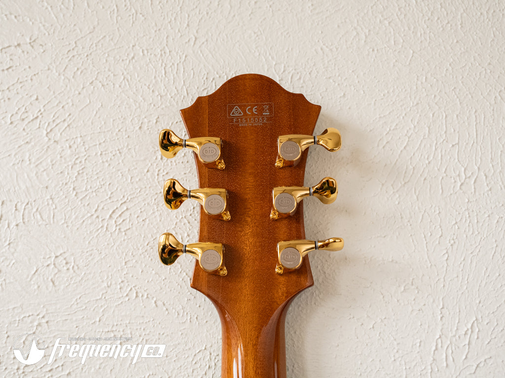 Ibanez PM-200 Pat Metheny Signature Hollow-Body in a Natural Finish - 2015