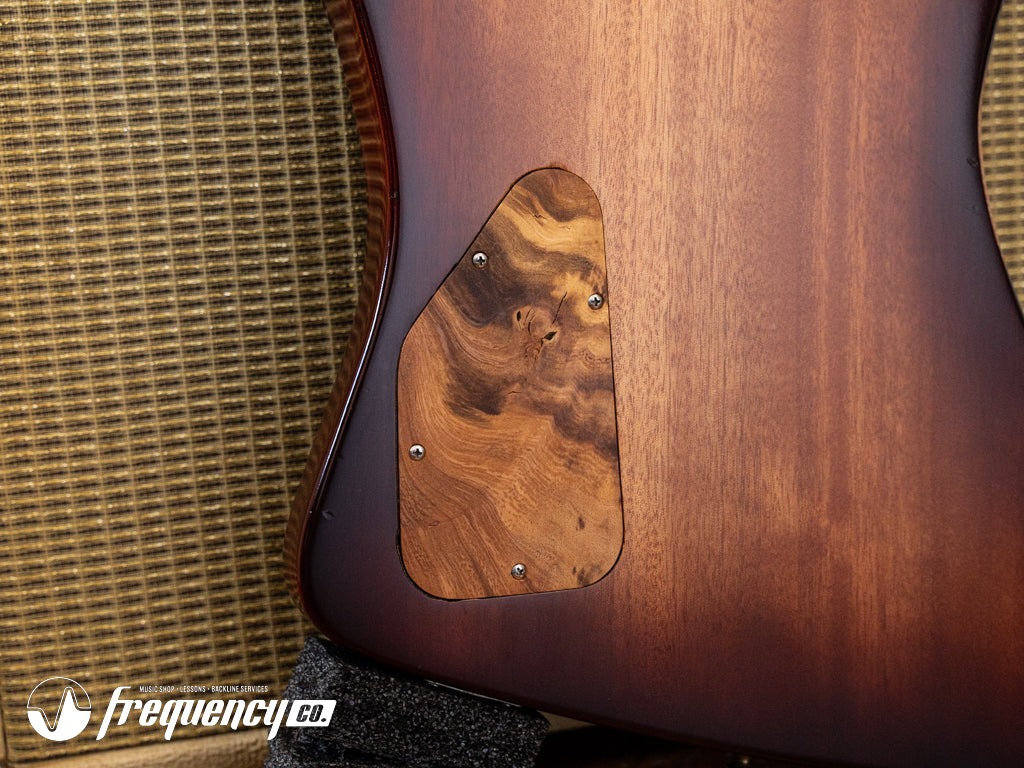Echopark Ghetto Bird Custom Chambered Mahogany Body with a Brazilian Rosewood Fretboard and Rosewood Top - 2013