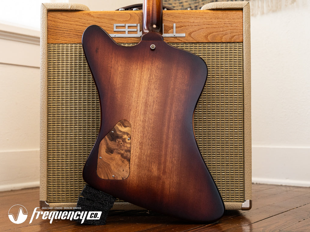 Echopark Ghetto Bird Custom Chambered Mahogany Body with a Brazilian Rosewood Fretboard and Rosewood Top - 2013
