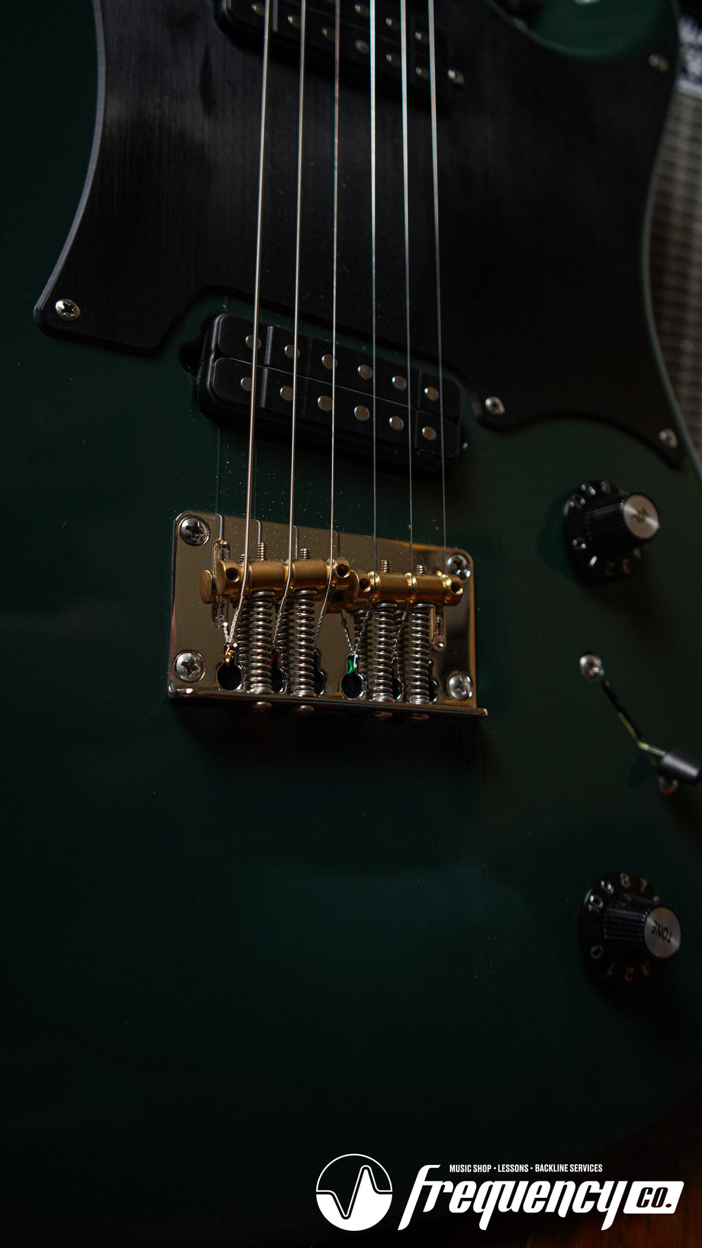 PRS Myles Kennedy Signature Guitar in Hunter Green - 2024