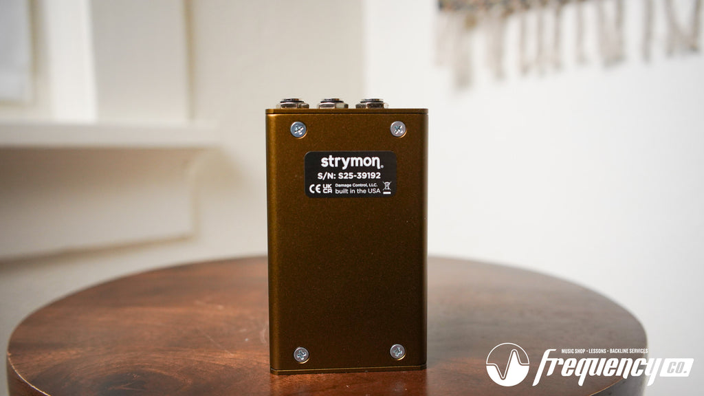 Strymon Engineering Olivera Vintage Oil Can Echo