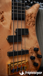 Spector Euro 4 CST Bass Guitar in Natural Gloss -  2023