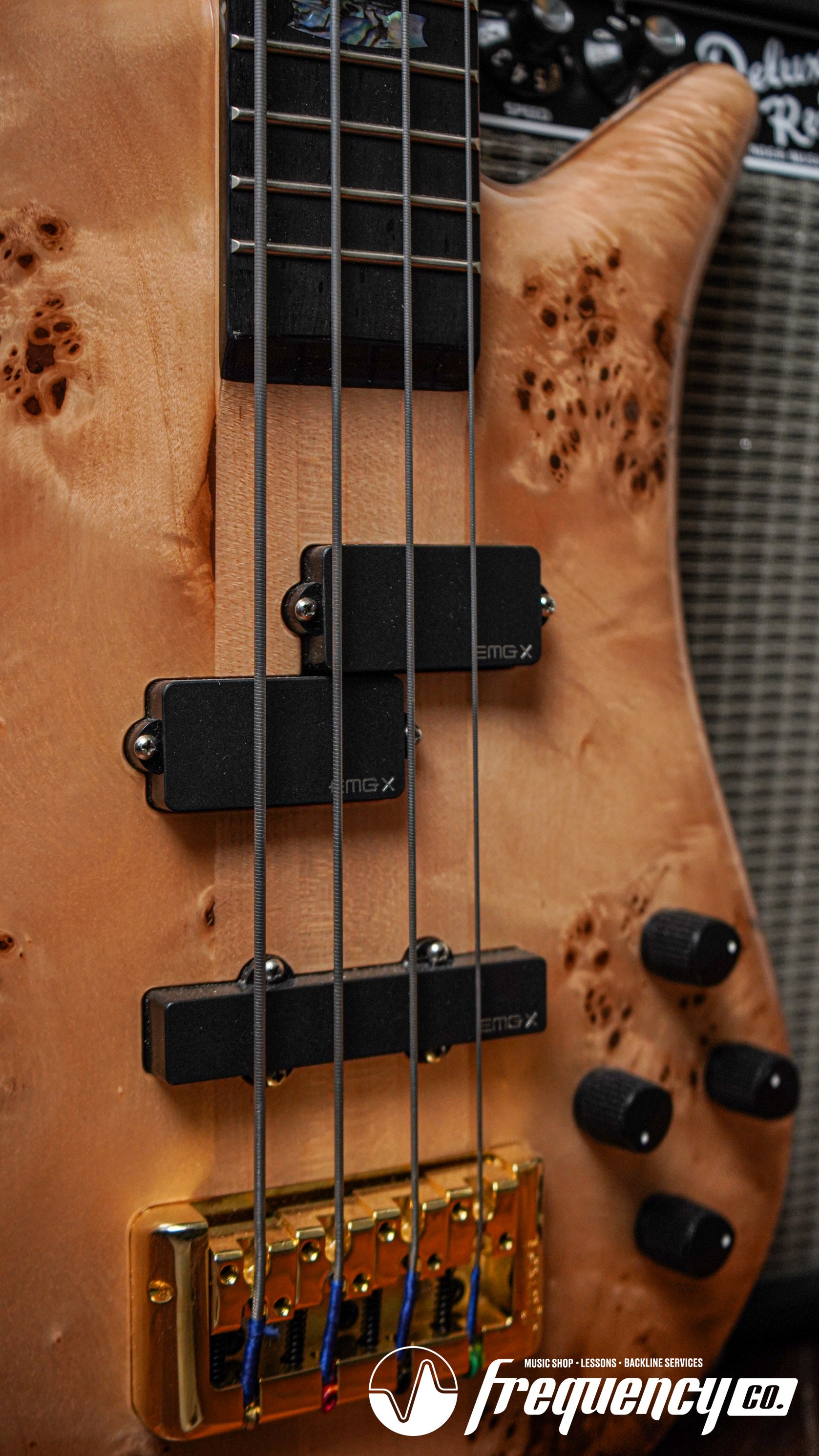 Spector Euro 4 CST Bass Guitar in Natural Gloss -  2023