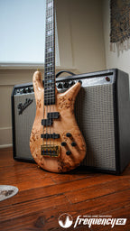 Spector Euro 4 CST Bass Guitar in Natural Gloss -  2023