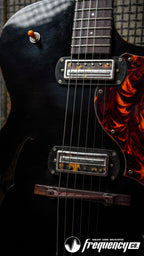 Collings Ladybird Fully Hollow Electric Guitar in Antiqued Jet Black - 2025