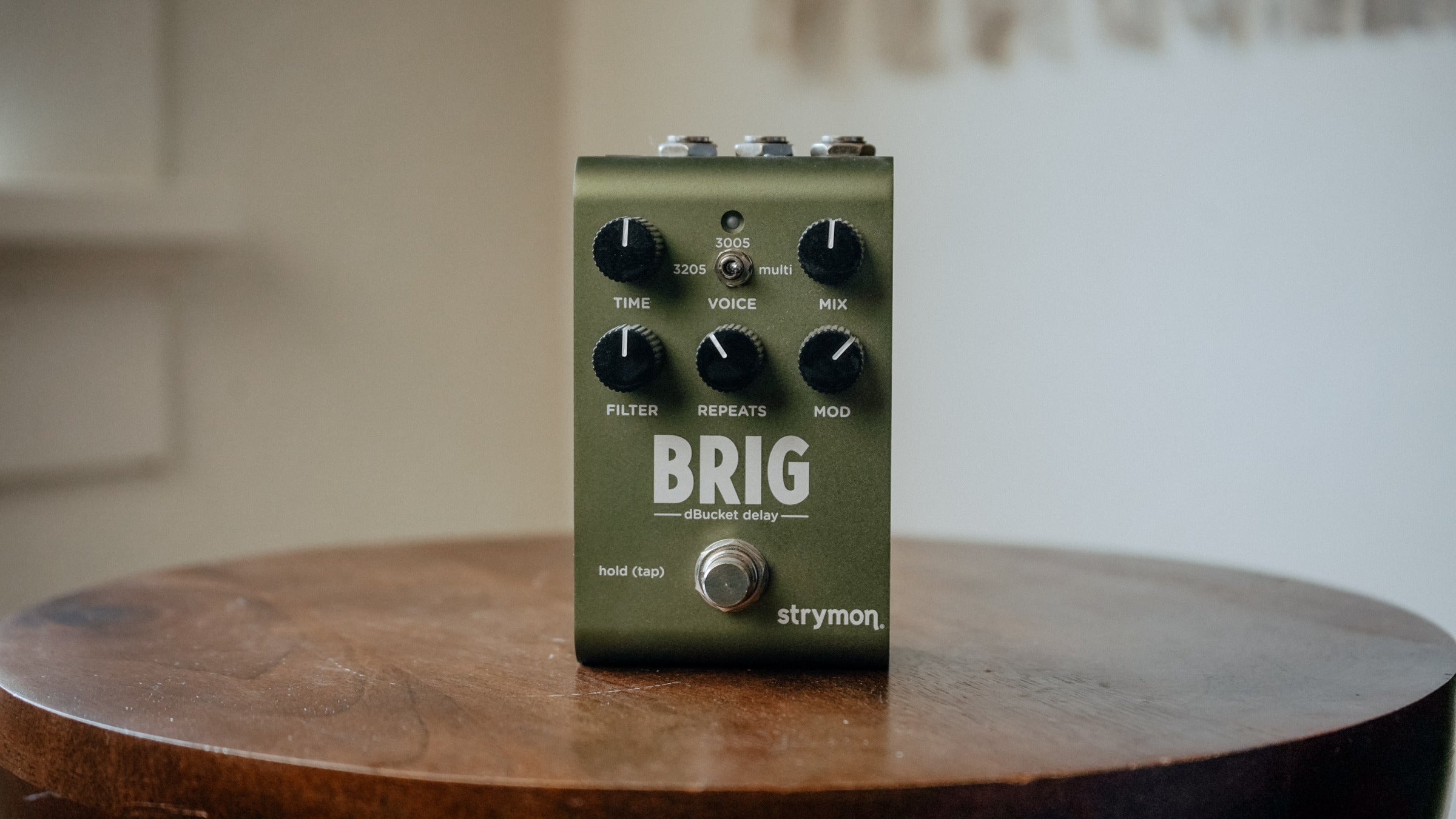 Strymon Brig Delay
