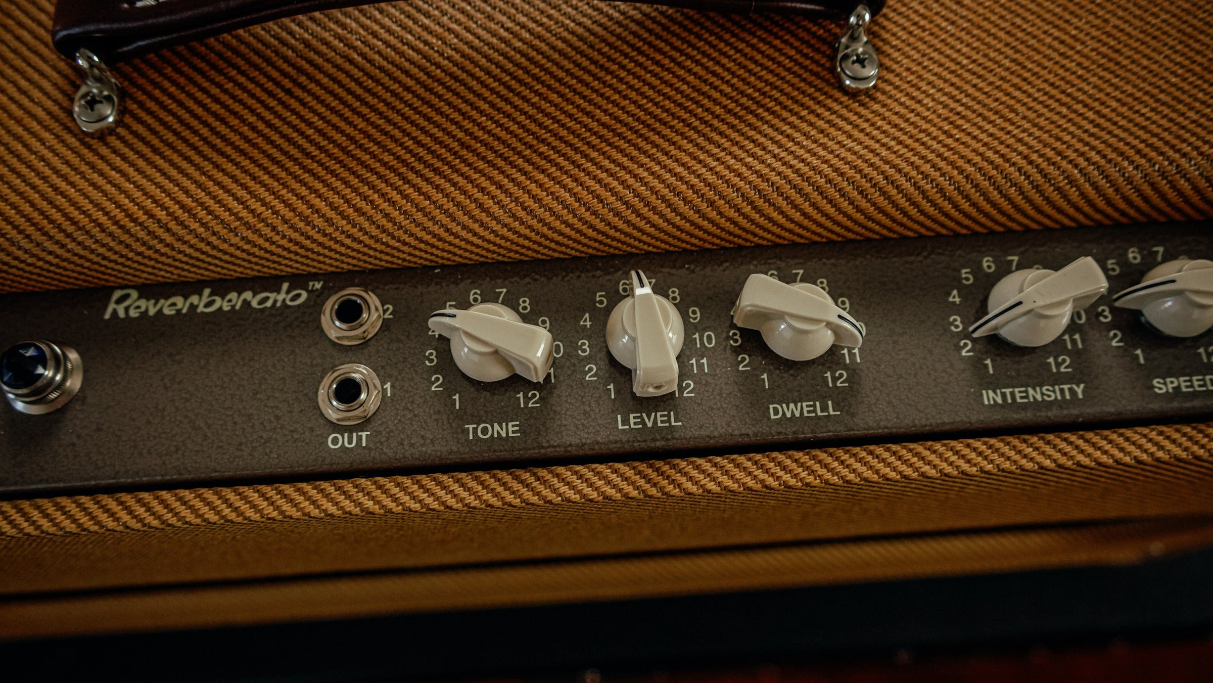 Victoria Reverberato