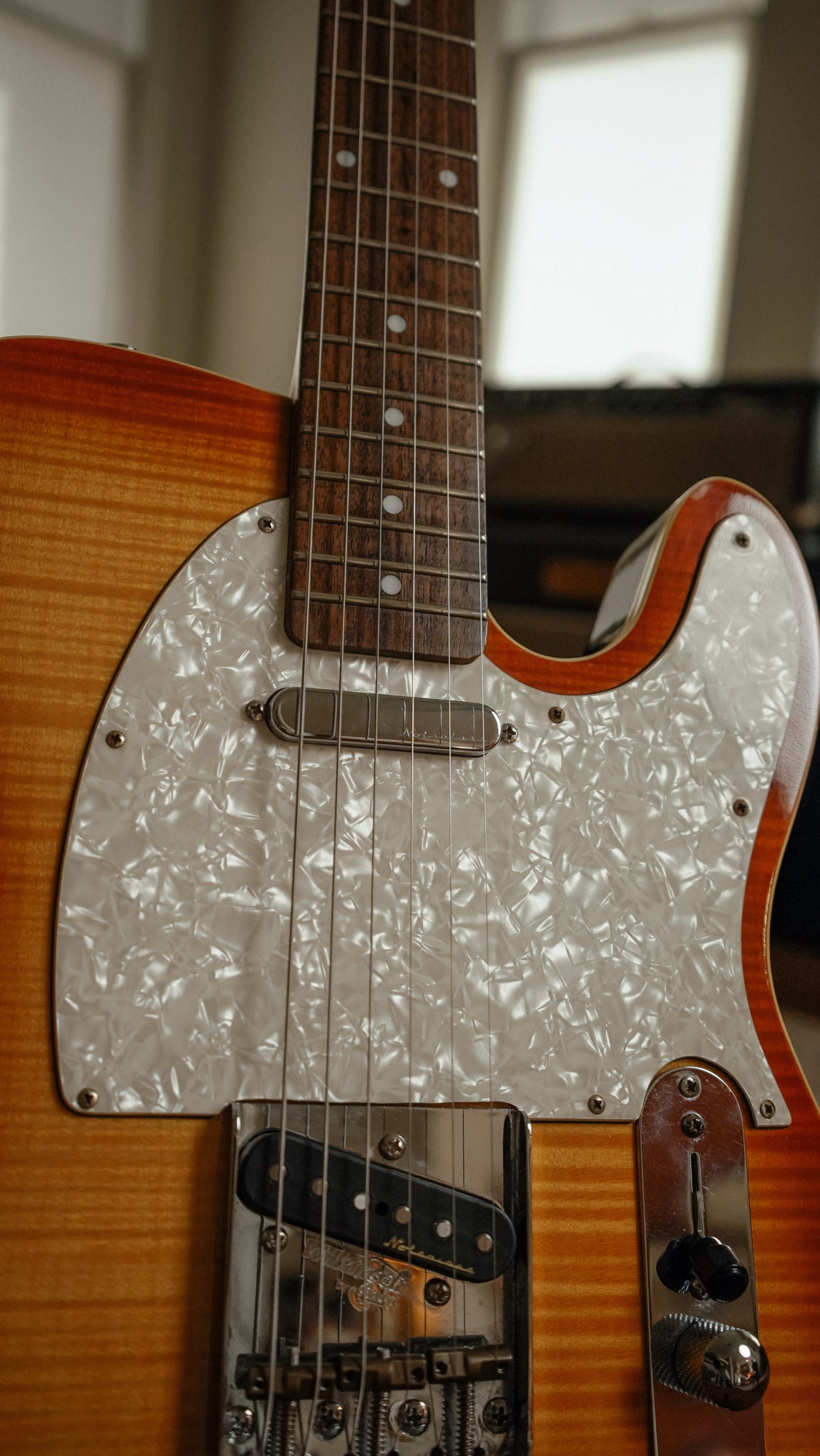 Xavier Custom Guitars T with Fender Noiseless Pickups